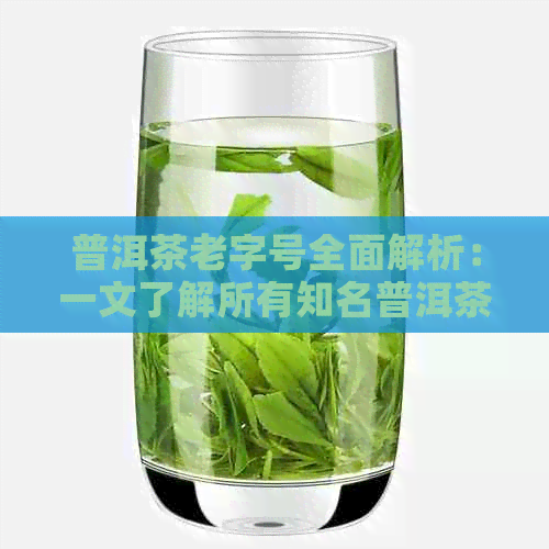 普洱茶老字号全面解析：一文了解所有知名普洱茶厂商