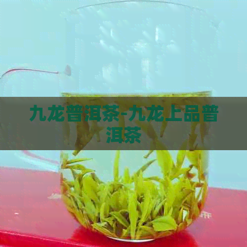 九龙普洱茶-九龙上品普洱茶