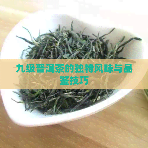 九级普洱茶的独特风味与品鉴技巧