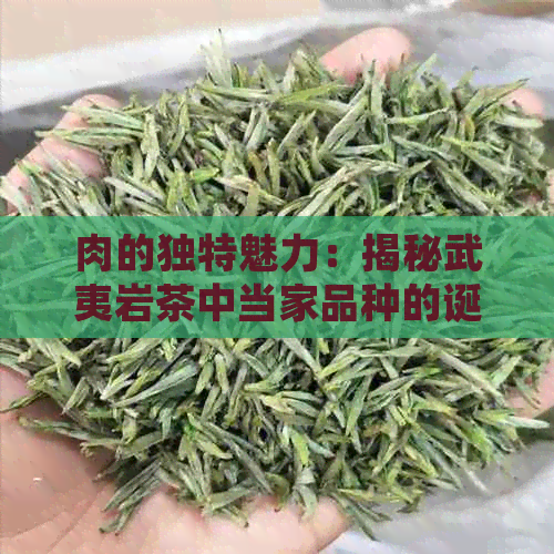 肉的独特魅力：揭秘武夷岩茶中当家品种的诞生之路