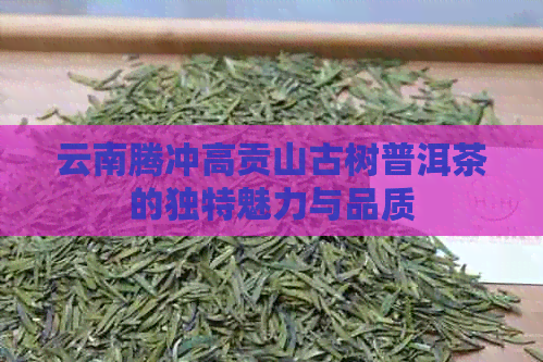 云南腾冲高贡山古树普洱茶的独特魅力与品质