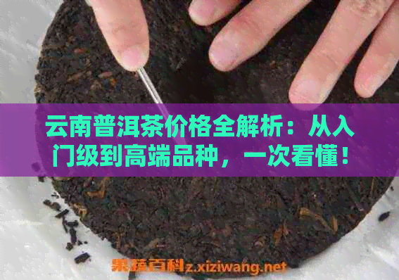 云南普洱茶价格全解析：从入门级到高端品种，一次看懂！