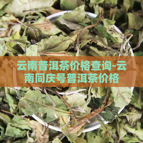 云南普洱茶价格查询-云南同庆号普洱茶价格