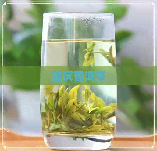 迪庆普洱茶