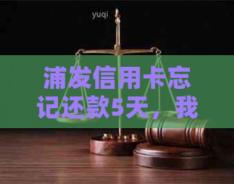 浦发信用卡忘记还款5天，我应该怎么做？逾期后果及解决办法全面解析