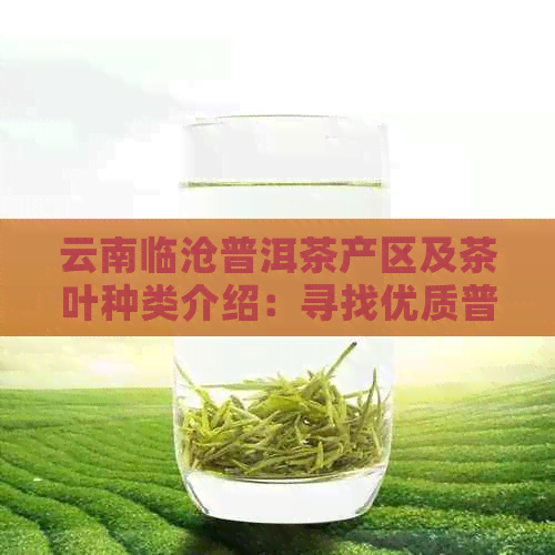 云南临沧普洱茶产区及茶叶种类介绍：寻找优质普洱茶的完整指南