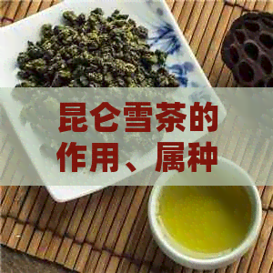 昆仑雪茶的作用、属种、价格与治疗脂肪肝的关系