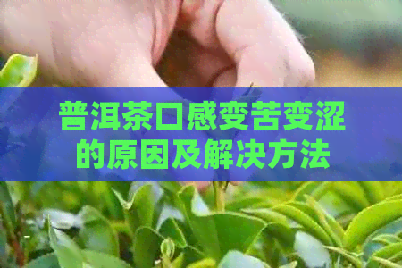 普洱茶口感变苦变涩的原因及解决方法