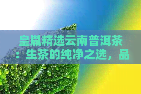 皇胤精选云南普洱茶：生茶的纯净之选，品质与价值完美融合