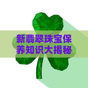 新翡翠珠宝保养知识大揭秘：碧玉上白点出现原因解析