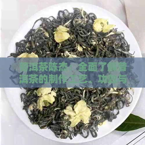 普洱茶陈杰：全面了解普洱茶的制作工艺、功效与品鉴方法