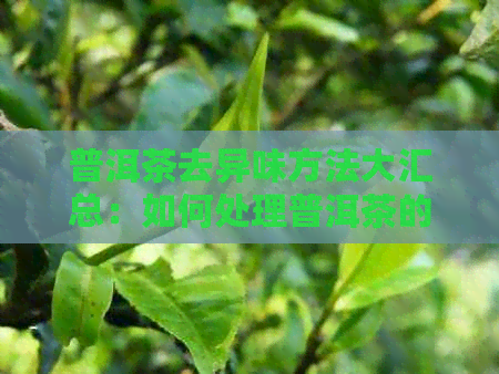 普洱茶去异味方法大汇总：如何处理普洱茶的异味？