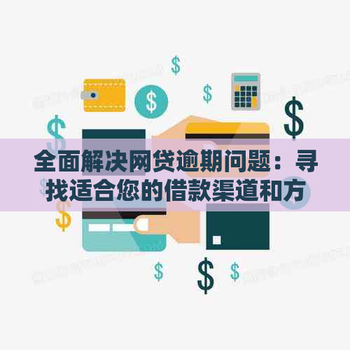 全面解决网贷逾期问题：寻找适合您的借款渠道和方案