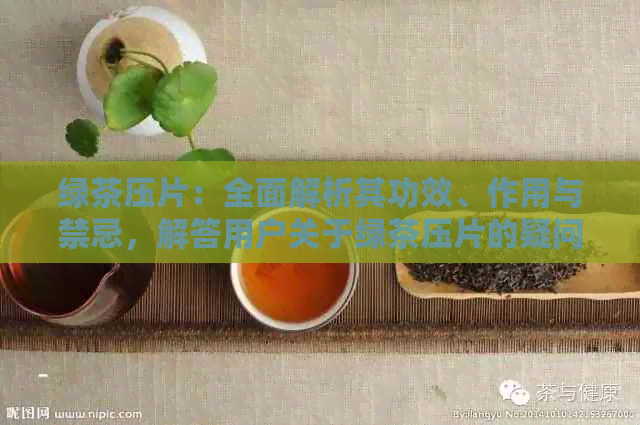 绿茶压片：全面解析其功效、作用与禁忌，解答用户关于绿茶压片的疑问