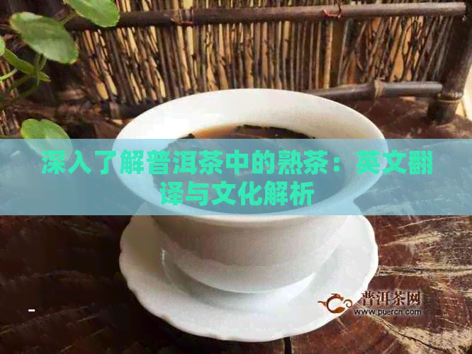 深入了解普洱茶中的熟茶：英文翻译与文化解析