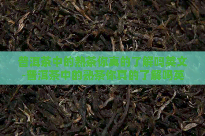 普洱茶中的熟茶你真的了解吗英文-普洱茶中的熟茶你真的了解吗英文翻译