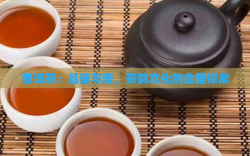 普洱茶：品鉴与鉴，茶韵文化的全面探索