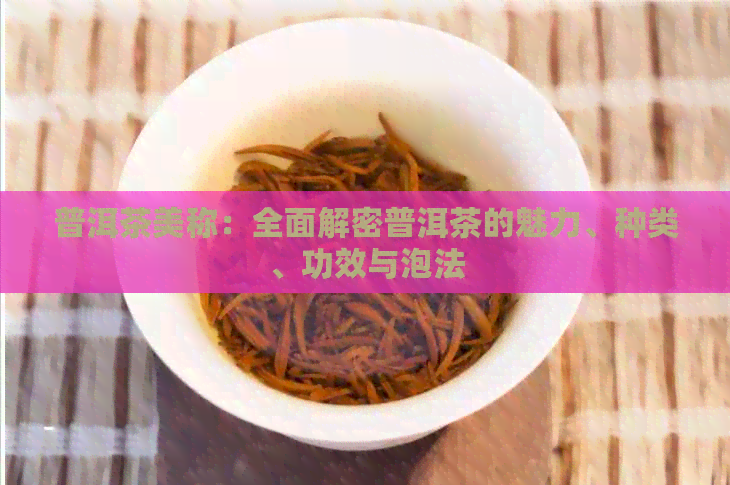 普洱茶美称：全面解密普洱茶的魅力、种类、功效与泡法