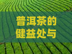 普洱茶的健益处与适用人群：一份全面的探索