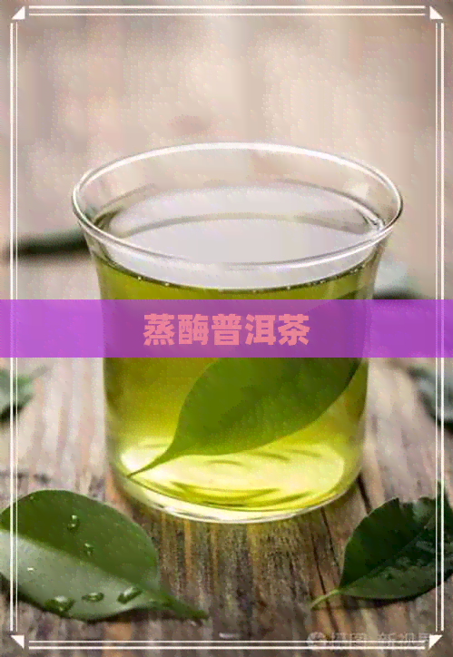 蒸酶普洱茶