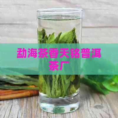 勐海茶香天铭普洱茶厂