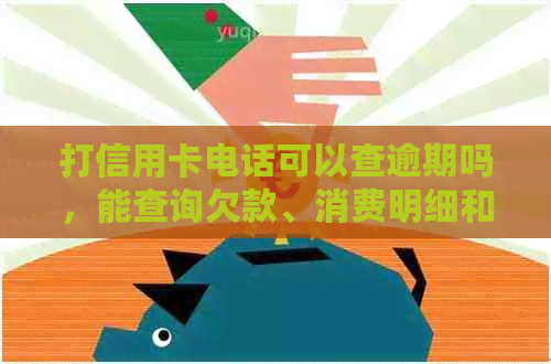 打信用卡电话可以查逾期吗，能查询欠款、消费明细和账单情况吗？