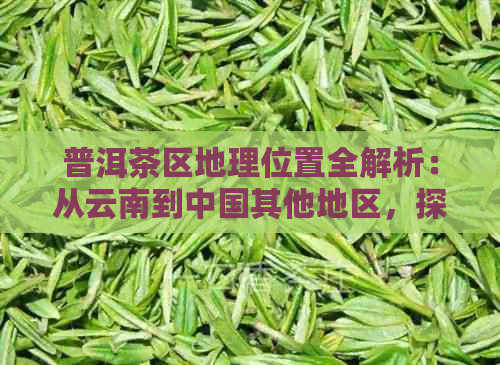 普洱茶区地理位置全解析：从云南到中国其他地区，探寻各地普洱茶产地及特点