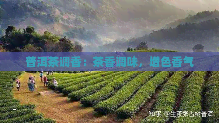 普洱茶调香：茶香调味，增色香气