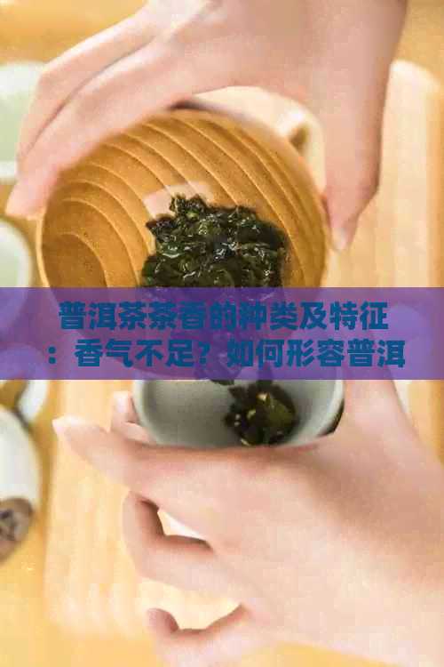 普洱茶茶香的种类及特征：香气不足？如何形容普洱茶的香气？