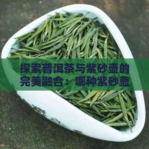 探索普洱茶与紫砂壶的完美融合：哪种紫砂壶泡普洱茶效果？