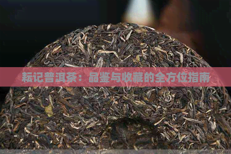 耘记普洱茶：品鉴与收藏的全方位指南