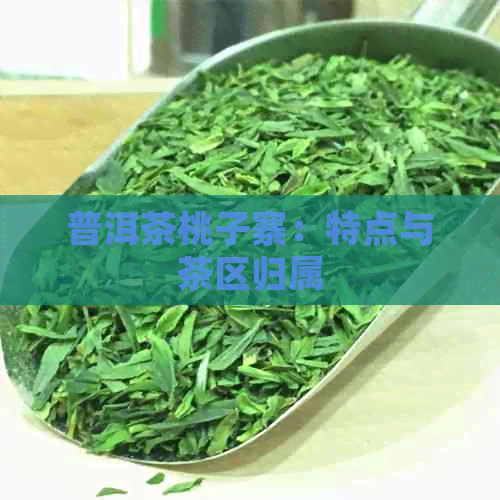 普洱茶桃子寨：特点与茶区归属