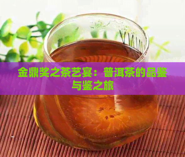 金鼎奖之茶艺宴：普洱茶的品鉴与鉴之旅