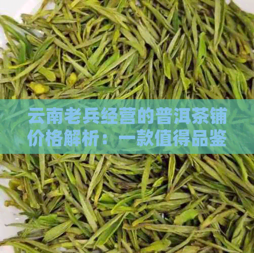 云南老兵经营的普洱茶铺价格解析：一款值得品鉴的茶叶多少钱？