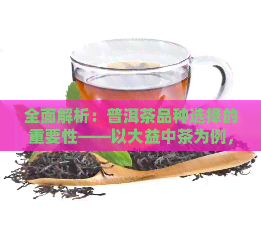 全面解析：普洱茶品种选择的重要性——以大益中茶为例，解答消费者疑虑