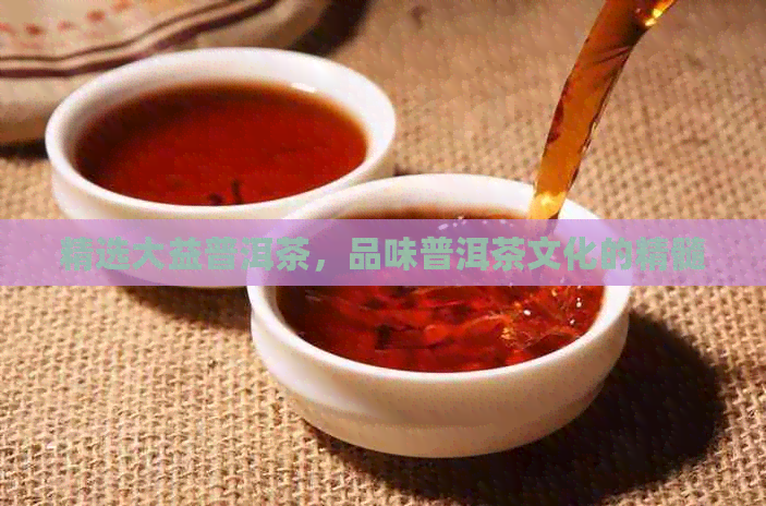 精选大益普洱茶，品味普洱茶文化的精髓