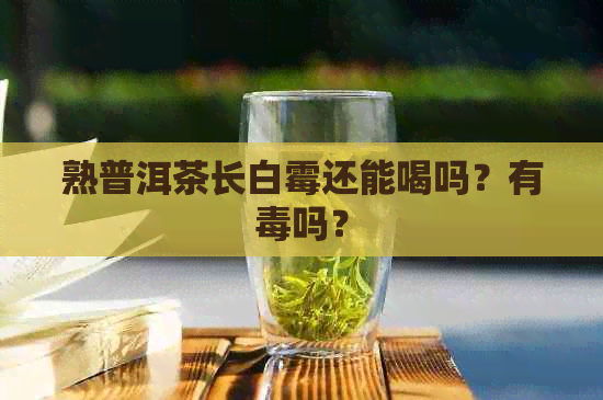 熟普洱茶长白霉还能喝吗？有吗？