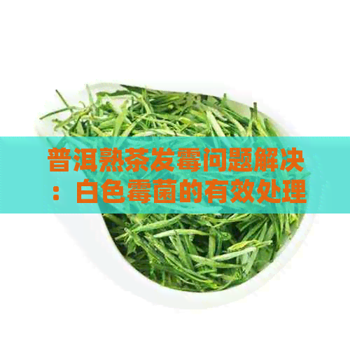 普洱熟茶发霉问题解决：白色霉菌的有效处理方式