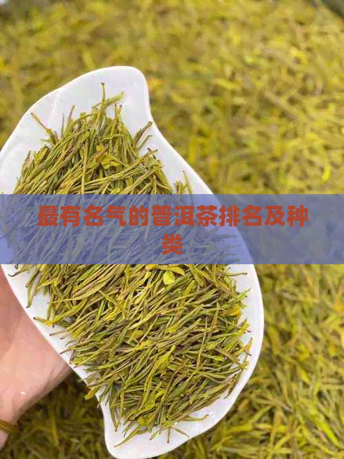 最有名气的普洱茶排名及种类