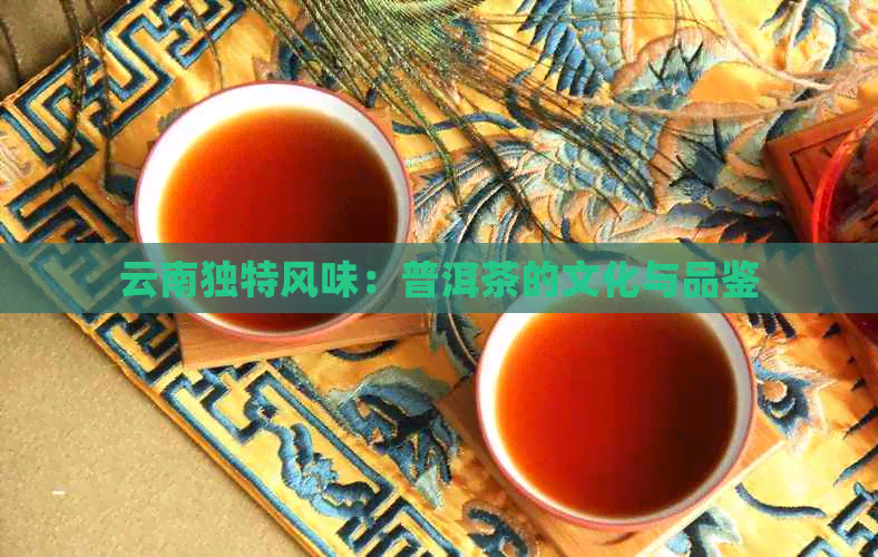 云南独特风味：普洱茶的文化与品鉴