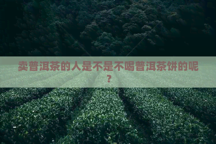 卖普洱茶的人是不是不喝普洱茶饼的呢？