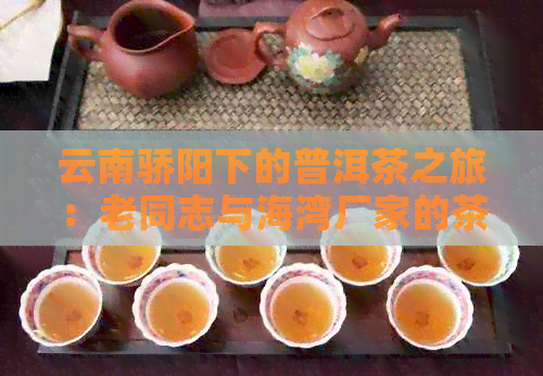 云南骄阳下的普洱茶之旅：老同志与海湾厂家的茶叶宴