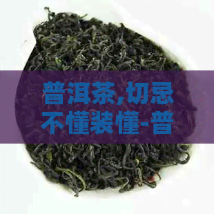 普洱茶,切忌不懂装懂-普洱 茶