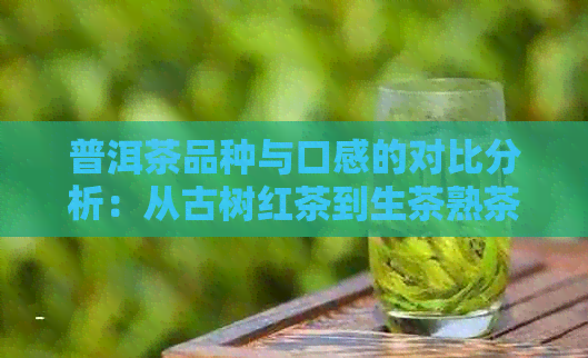 普洱茶品种与口感的对比分析：从古树红茶到生茶熟茶