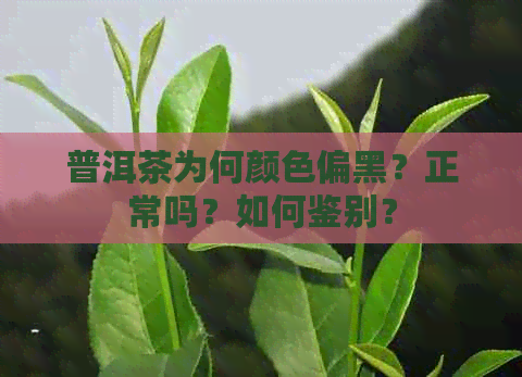 普洱茶为何颜色偏黑？正常吗？如何鉴别？