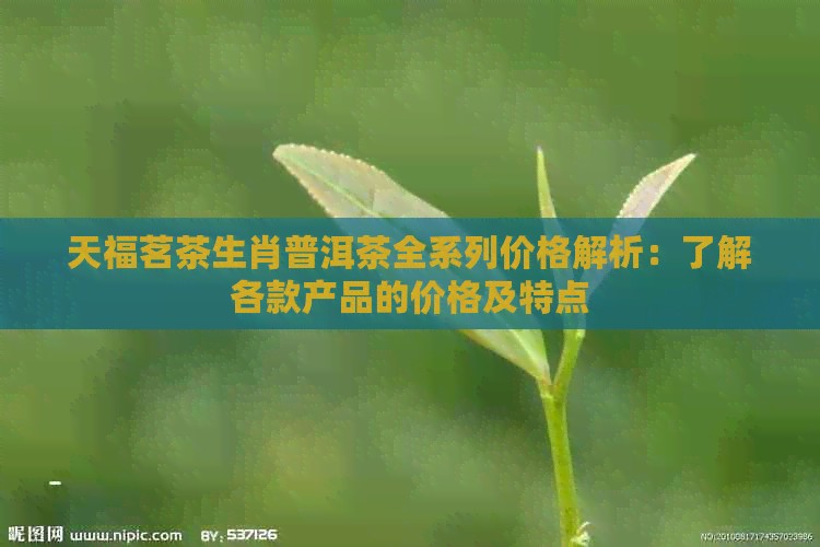 天福茗茶生肖普洱茶全系列价格解析：了解各款产品的价格及特点