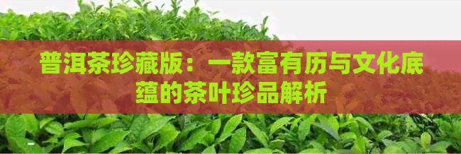 普洱茶珍藏版：一款富有历与文化底蕴的茶叶珍品解析