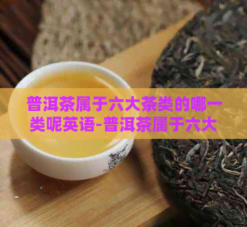 普洱茶属于六大茶类的哪一类呢英语-普洱茶属于六大茶类的哪一类呢英语翻译