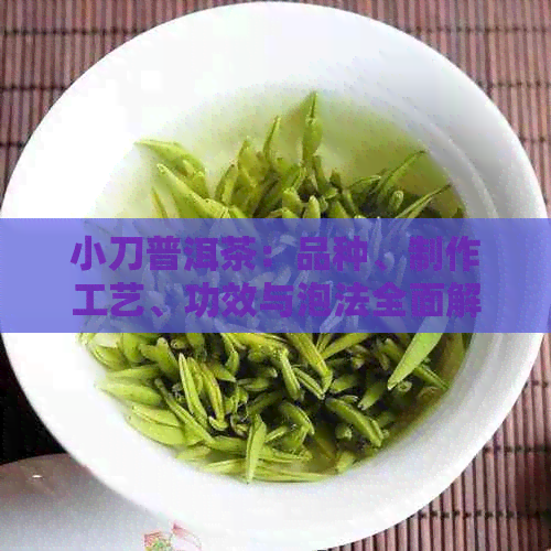 小刀普洱茶：品种、制作工艺、功效与泡法全面解析