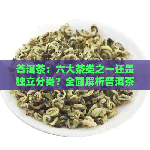 普洱茶：六大茶类之一还是独立分类？全面解析普洱茶的茶类归属问题